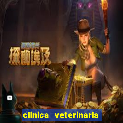 clinica veterinaria cuidar betim